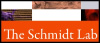 Schmidt Lab LinkedIn Group