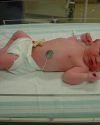 Emerson William Schmidt arrives into the world at 10:21 pm on August 25, 2003
8 lbs 9 oz, 21 inches long
