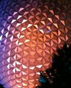 The SFB “Biomaterials Bash” party is held at Epcot.