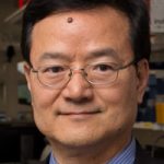 Dynamic Human Brain Imaging and Brain-Computer Interface